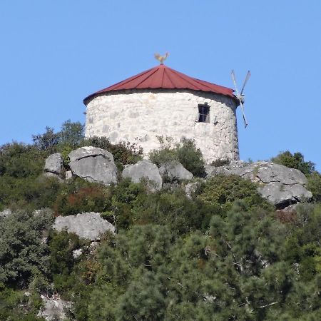 לינה וארוחת בוקר מונסנטו Casa Da Riguerinha מראה חיצוני תמונה